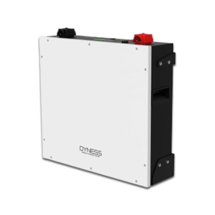 Dyness: Battery Lithium Ion 5.12KWH 51.2V 100Ah